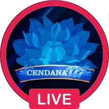 cendana777 APK Versi Terbaru untuk Android 2026 dan jokertoto: Rangkuman Brand yang Banyak Dicari
